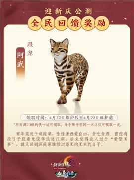 天龙八部私服皇宫错位
